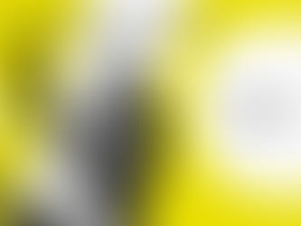PROGRAMA DE JOVENS ESPECIALISTAS DA OMPI — uma oportunidade de 2 anos totalmente financiada em Genebra