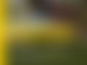 PRÊMIOS DE FOTOGRAFIA GLF África 2024