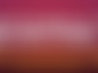 DESAFIO DE INOVAÇÃO DO PMA: alívio e resiliência 2024