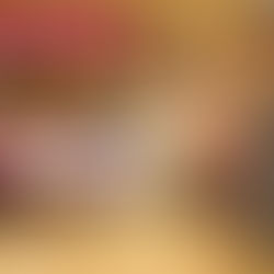 ACADEMIA DE GESTÃO DE GOVERNAÇÃO GLOBAL (MGG) 2026 para jovens líderes emergentes (subsídio mensal de 2200 euros)