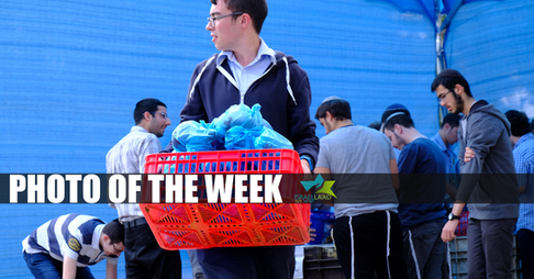 PHOTO-OF-THE-WEEK-14.2.png