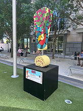 IMG_1350.jpeg
