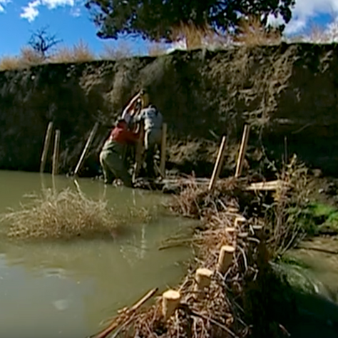 Bridge Creek Beaver Restoration Project — Oregon