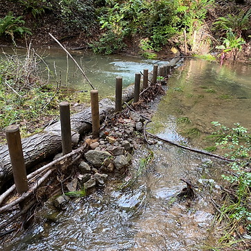 SF-Photo6-Downstream-reinforcement.png