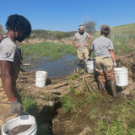 New River Conservancy and Open Spaces Resiliency Project Partner to Restore South Beaver Creek