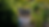 NFF-BDA-2024-Photo-catalog-10-preset_edited.png