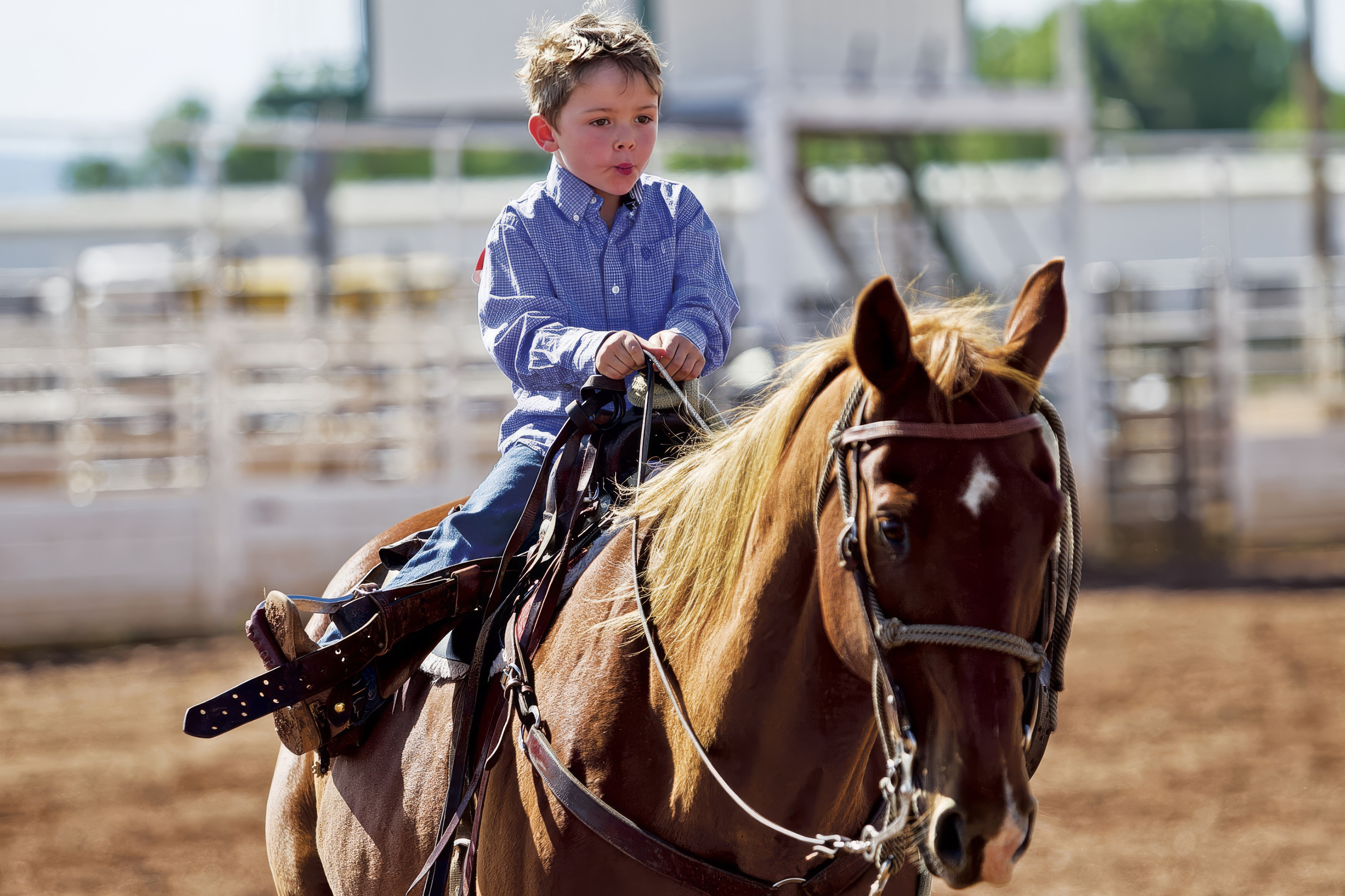 Shirley Lilley Memorial Kids Horse Show | Jubilee Days | Laramie, Wyoming