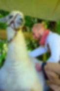 Ostéopathie animale