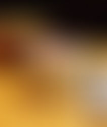 Ananaslı Chia Puding