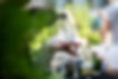 WhatsApp Image 2024-03-19 at 11.34.39.jpeg