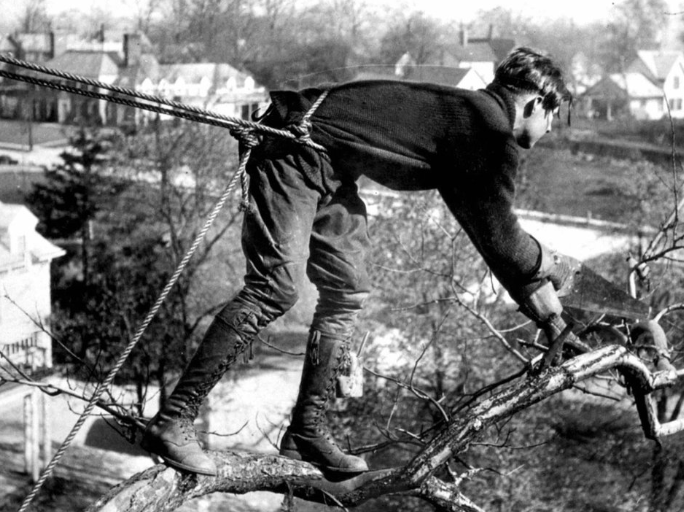 Arborista escalando na década de 20