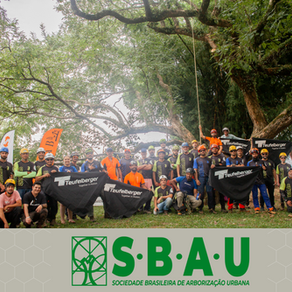 Curso avançado de escalada em árvores.
