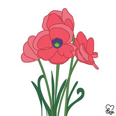 66. Poppies.jpg