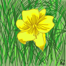 13. Yellow Daylily.jpg