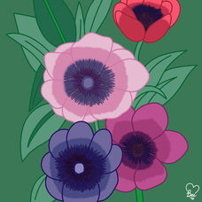 62. Anemone.jpg