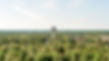 MS-Tech_13.8.2020_20.jpg