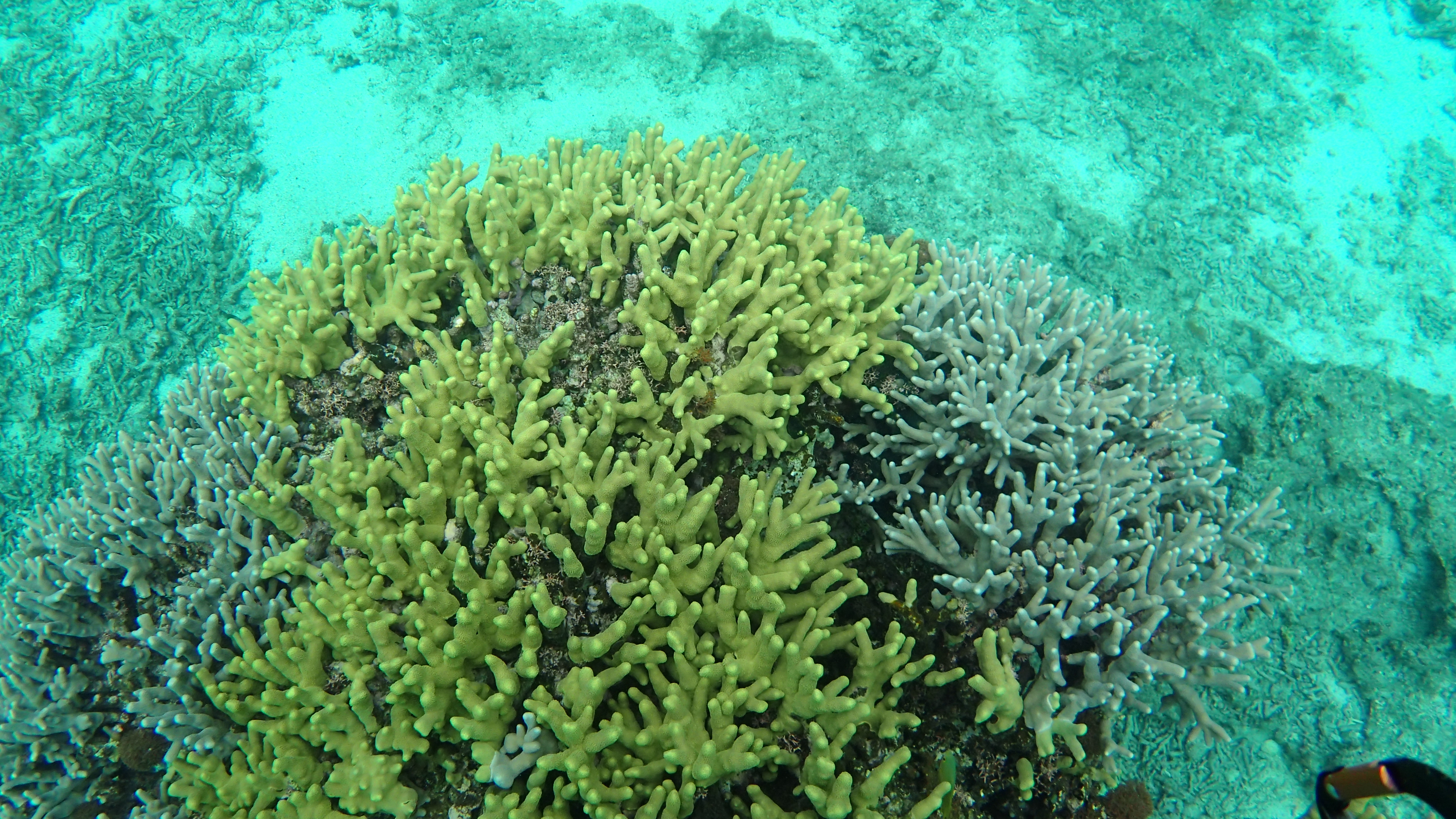 P5210229