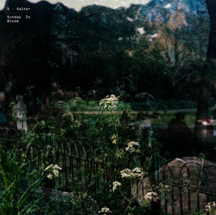 The cover for Samuel Ruddick and Jeremia Reichen aka S. Salter's "Sunday In Bloom" single, showing a dark overlay of flowers and trees in a park, with people and headstones visible. Text: "S Salter Sunday In Bloom." Moody atmosphere.