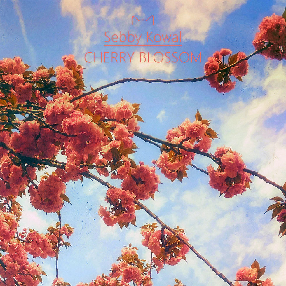 The cover for Sebby Kowal's Cherry Blossom album, showing pink cherry blossoms on branches against a blue cloudy sky; text reads Sebby Kowal CHERRY BLOSSOM.