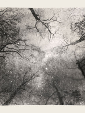 The cover for Tomas Raae and Eline Hellerud Åsbakk's "Jeg Tror Det Er Skoven Der Brænder" single, showing a grainy black-and-white view of bare tree branches against a bright snowy sky, creating a moody abstract winter scene.