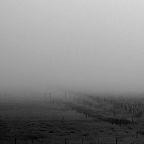 Foggy field with a wire fence receding into the distance. The scene is in grayscale, creating an eerie, tranquil atmosphere.