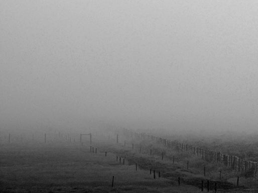Foggy field with a wire fence receding into the distance. The scene is in grayscale, creating an eerie, tranquil atmosphere.