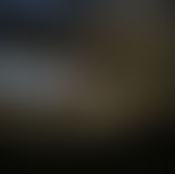 Michael Andrew Griffith - Woods of Error (Cerulean)