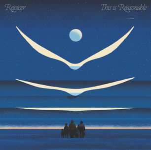 The cover for Yuval Havkin aka Rejoicer's This is Reasonable album, showing people standing on a starry beach at night, gazing at a large moon and abstract white shapes. Text reads "Rejoicer" and "This is Reasonable."
