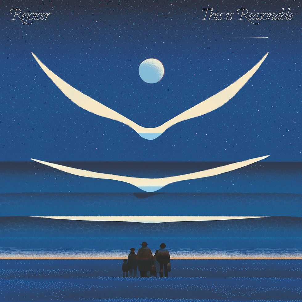 The cover for Yuval Havkin aka Rejoicer's This is Reasonable album, showing people standing on a starry beach at night, gazing at a large moon and abstract white shapes. Text reads "Rejoicer" and "This is Reasonable."