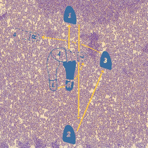 The cover for Adam Hill's, "El Sueno" single, showing an abstract purple-speckled map with blue numbered markers 1-4 and yellow arrows showing routes or motion.