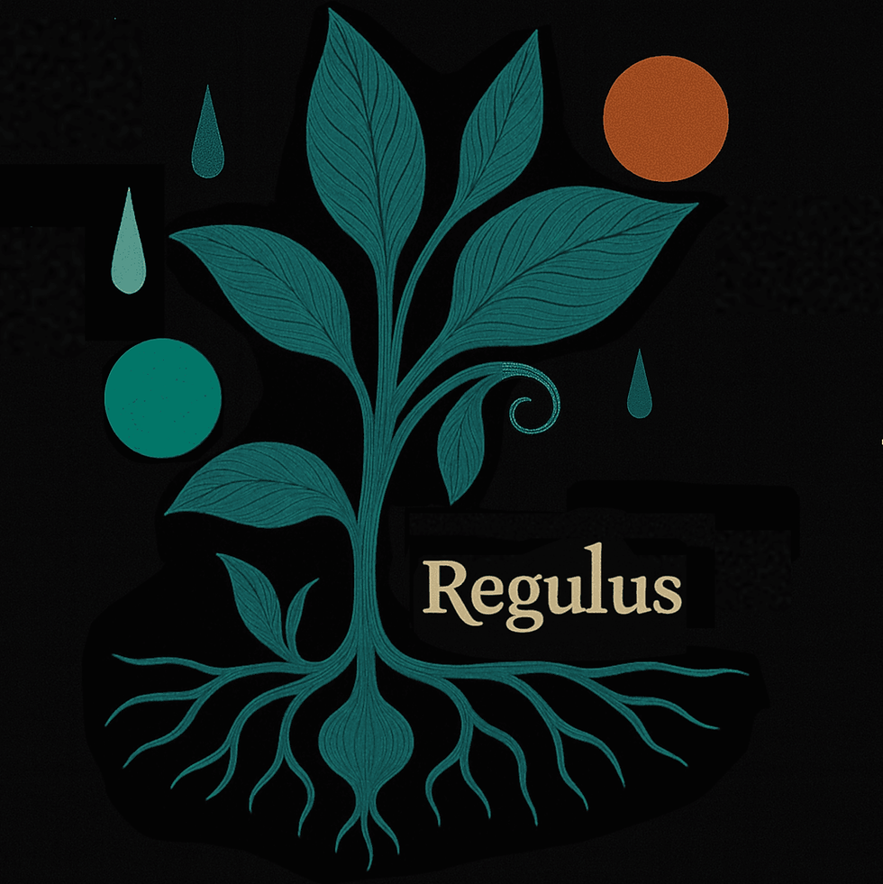 The cover for Alucuo's "Regulus" single, showing a stylized teal plant with roots on a black background, orange and green circles, and droplets. "Regulus" text displayed. Minimalist design.