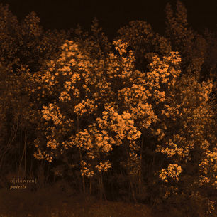 o[rlawren] - Poiesis (DRONARIVM) [Ambient]