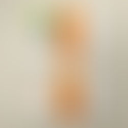 The cassette tapes for Vieux & Cheick Niang/Guguou - Brothers albums; top shows musicians Vieux & Cheick Niang, bottom shows abstract art. Bright orange cassettes, beige background.