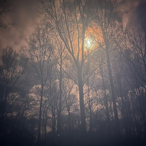 This is the cover of Fotonman's, "Find Me" single. It shows bare trees silhouetted against a hazy sky with glowing sun, creating an eerie and serene mood. Dark foreground, warm colors.