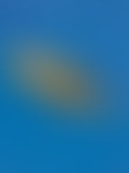 the cover for Or Sobre Blau's Making Friends album, showing a dried seed pod or flower husk floating on bright blue background, with layered tan and brown textures, abstract and natural