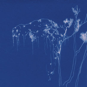 Joaquín Cornejo - Cabuya (Shika Shika)