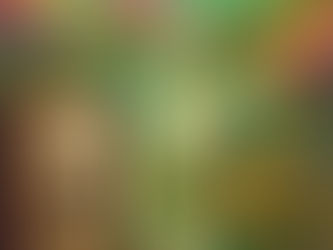 Welcome to The Slow Music Movement's Playlists.