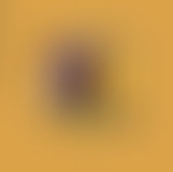 The cover for Silvia Bolognesi, Dudú Kouate and Griffin Rodriguez's Timing Birds album, showing and abstract painting with bold colors: red, yellow, and black brushstrokes, set against a mustard yellow background, creating a modern, dynamic feel.