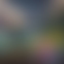 The cover for Joan Shelley's Real Warmth album, showing a surreal landscape with a bear by a river, vibrant flowers, a ship, and moon phases overhead. Text reads “Joan Shelley: Real Warmth.”