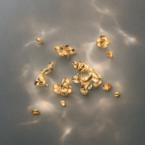 The cover for Selkie's "Gold" single, showing dried beige and gold flower petals scattered on a gray surface, lit by soft rainbow reflections and warm light.
