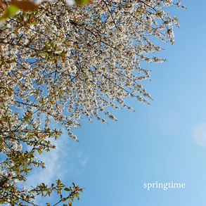 Dwi Riana, Marshall Veroni - Springtime cover art