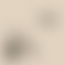 The cover for Nathan Salsburg's, Ipsa Corpora album, showing drawn scales with figures balancing, on a beige background. Text reads "Ipsa Corpora" and "Nathan Salsburg" in handwritten style.