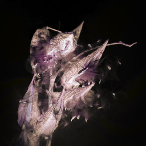 The cover of Saltbreaker's Glass Aviary Remixes album, showing a close-up of a textured, abstract purple flower against a dark background. Delicate petals and wispy fibers create a dreamlike mood.