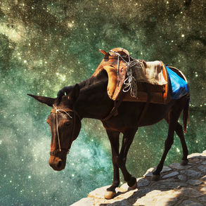 This is cover art for The Green Kingdom's, Horizons LP. It shows a mule with a brown saddle with a blue plastic bag tied to it, walking along a rocky path against a starry galaxy backdrop, creating a surreal scene.