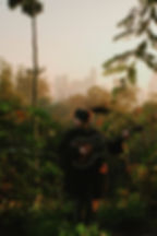Takuro Okada playing guitar in a lush forest at sunset, with a city skyline in the background. Warm, serene atmosphere. No visible text.