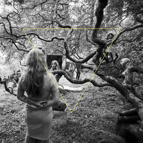 The cover for Dao Strom's, Tender Revolutions album, showing a black and white forest scene with twisted tree branhes, with cut and collaged images of Strom standing or reclining. There is a large, upside down yellow triangle outline in the centre. Calm, mystical mood.
