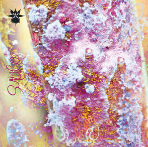 The cover for Qoa's SAUCO album that shows an abstract image with pink, purple, and yellow hues, featuring textured patterns and swirling shapes. The word "gulp" is visible in cursive.