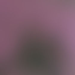 The cover for Lau Ro's Cabana album, showing Lau Ro sitting in a grassy field. The photo is pink-tinted and blurred. They wear dark clothing and appear relaxed. 