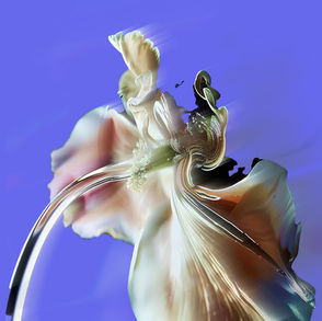 Suki Quasimodo - I Feel Like