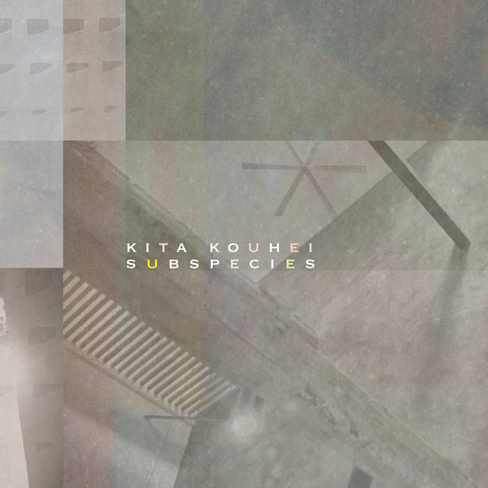 The album artwork for Kita Kouhei''s Subspecies / 北航平 album, showing an abstract art with muted tones and geometric shapes. Text reads "Kita Kouhei Subspecies" in subtle yellow and white letters.